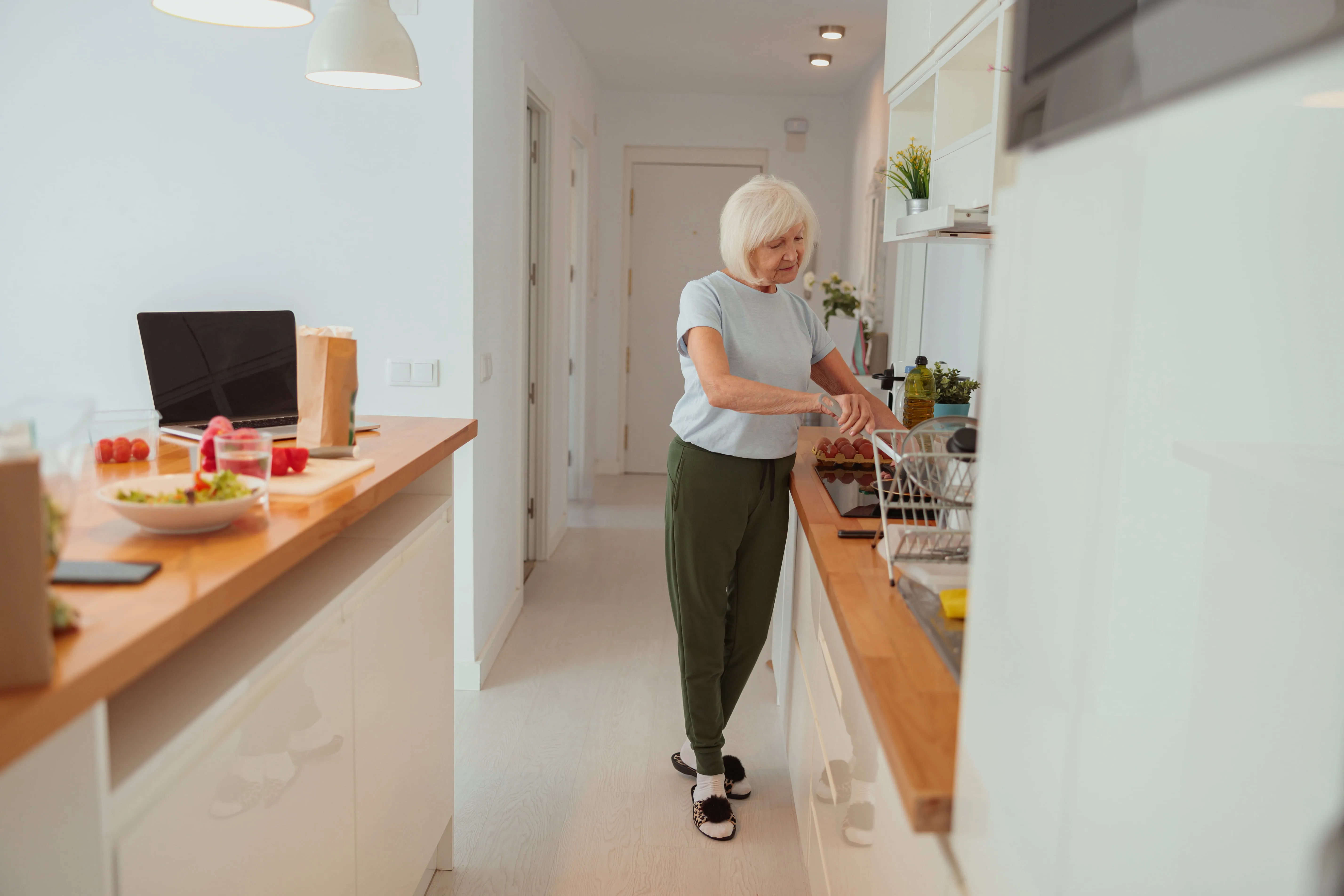 The Future of Aging in Place